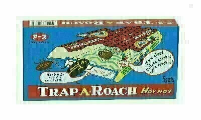 Hoy Hoy Trap-A-Roach
